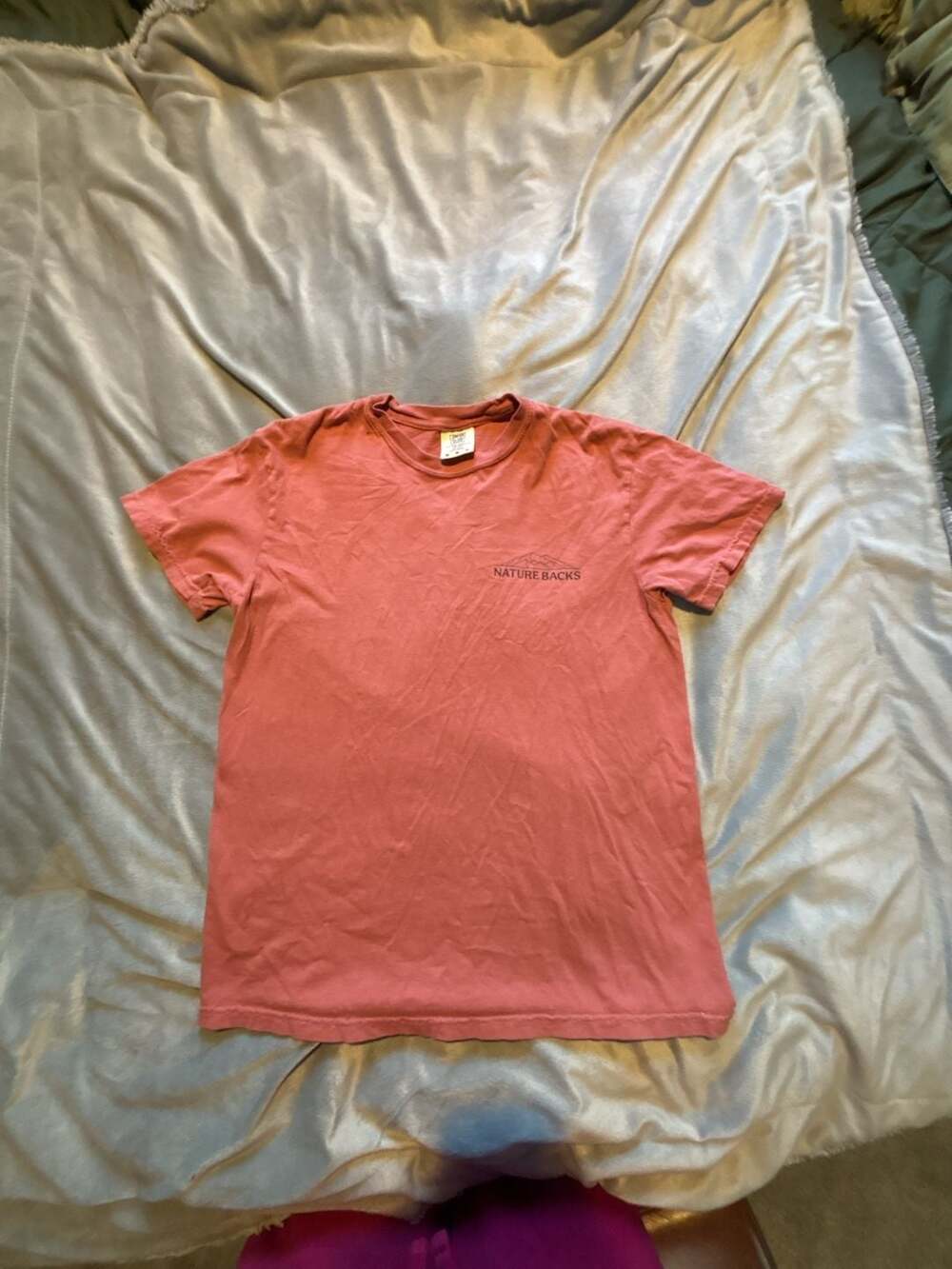 Nature Backs Mountain Graphic T-Shirt on Comfort Colors